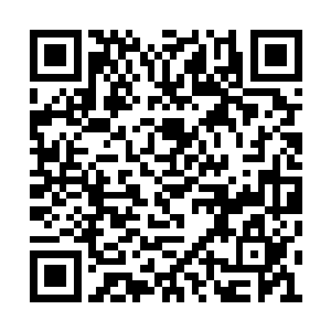 弥漫出一股连绵不绝的镇压之力悬浮在皇城上空二维码生成