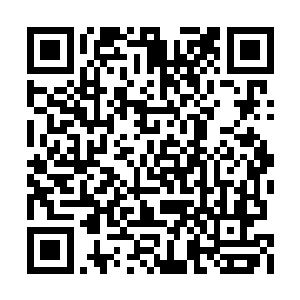 弹无虚发地在五秒钟之内打死十二只狼鹰的难度二维码生成