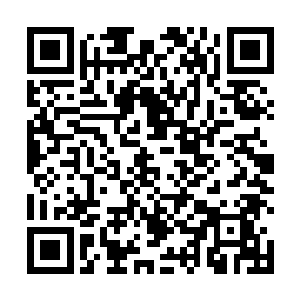 弹琵琶讲故事的黄先生说了外面的人都是一群懦弱的鸡二维码生成