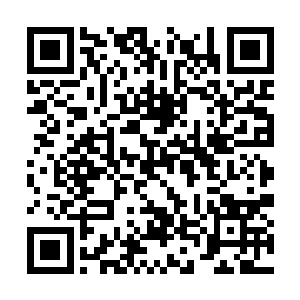 强力石化又或者强力麻痹这些负面属性来困扰敌人二维码生成