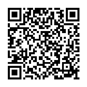 强势的狮子王同样让作风霸道的光明武会所厌恶二维码生成