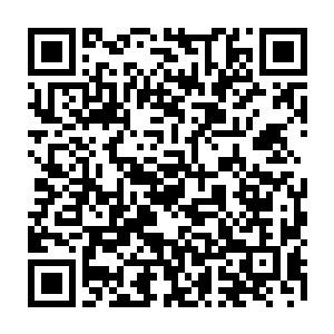 强化的精神力很可能会引爆异形基因和暴君基因中杀戮和暴虐的情绪力量二维码生成
