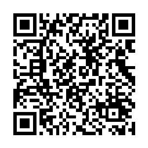 强大如青虢和赤离焰竟然瞬间被那一掌给拍在了地上二维码生成