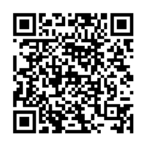 强大的冲击力就这样一层一层的突破高万雄的防御二维码生成