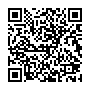 强大的撕扯之力直接将他们的身体在半空之中撕的粉碎二维码生成