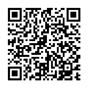 强大的气息立即快速的扩散了出去……单单以气息而言二维码生成