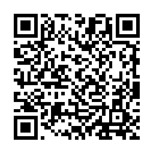 强大的渡劫期实力一下就将化神期的其实压制了下去二维码生成