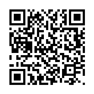 强大的爆破力将周围的树木拦腰折断二维码生成