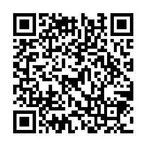 强大的生物可以利用自己的爪牙捕获足够多的猎物二维码生成