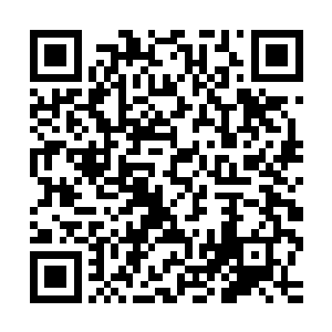 强如北域顶尖宗门的宗主弥奇和厉蛟在他面前都翻不出什么浪花二维码生成