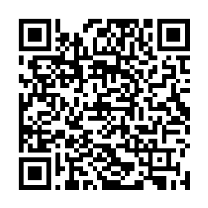 强拉上又是兴奋又是激动一个上午屁股没挨着座的邓海二维码生成