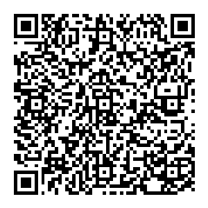 强森怒火中烧 这赵纯良明摆着就是挑衅他了 他哪里还会再有所保留 直接双手一拍地面 整个人高高跃起 对着赵纯良就轰出了一拳二维码生成