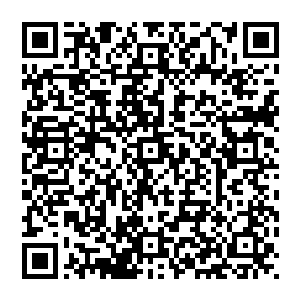 强森脸色一变 根本來不及反应 就被巨大力量给击飞了出去 直接飞过了栏杆 从树屋上掉了下去二维码生成