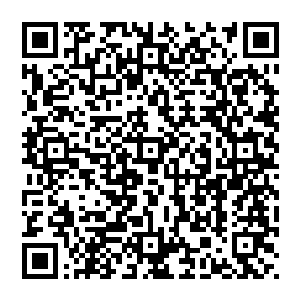 强烈的愤怒已经让这个虽然变异可脑容量还是如以前一样的低等生物忽略了罗楼先前带给它的伤害二维码生成