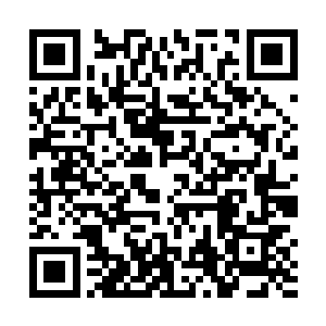 强者们用鲜血将自己独一无二的灵纹烙印到了信物之中二维码生成