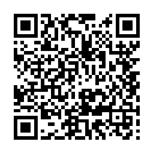 强者是不会进入惩罚副本的……强者实力本身很强二维码生成