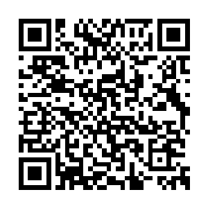 强自镇定着看见他憔悴的面孔时涌上的万般情绪二维码生成