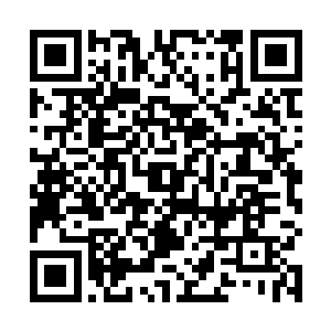 强袭对面的至尊灵兽奇美拉……不求能够完全控制对方二维码生成
