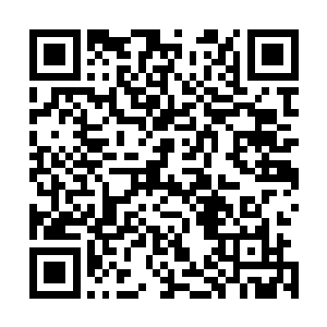 强调要高举南巡首长建设有国家特色社会主义理论伟大旗帜二维码生成