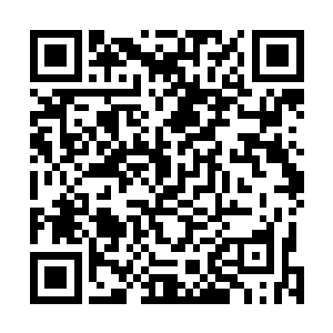 归塘界主感应着第七重封印的时间已经只剩下最后十秒了二维码生成