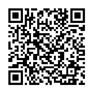 归心似箭的夏云杰终于抵达了阔别已经近四年的地球二维码生成