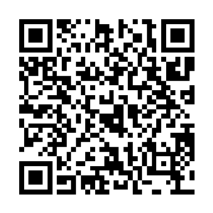 归根到底还不是青珠圣人和伶仙子这对道侣的罅漏……二维码生成