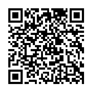 归真阁方面确认了君主阁一方入战者尽都是高阶修者二维码生成