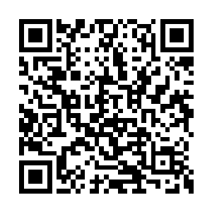 当一个个兼职律法分教会的公正法庭开始运作后二维码生成