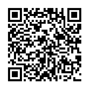 当一个光头大汉手握着木棍朝着他的脑袋上抽过来的时候二维码生成