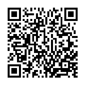 当一只被大家称呼的名字用文字的形式出现在眼前的时候二维码生成