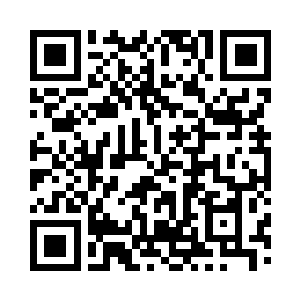 当一名名学生将食物送到流浪狗的跟前二维码生成