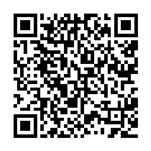 当下一股无比恐怖的暴虐的气息顿时从食脑兽的身上散发出来二维码生成