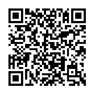 当下一行几十人浩浩荡荡的朝着通道的里面走去二维码生成