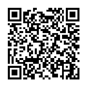 当下便是对着岛屿上的众多珍稀资源展开了疯狂的收取二维码生成