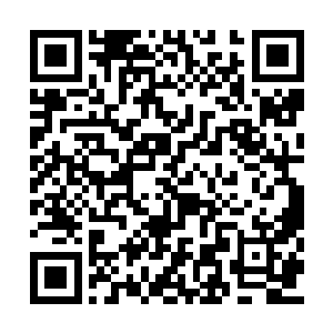 当下唐劫便下令搜集七派所有与生机有关的典籍二维码生成