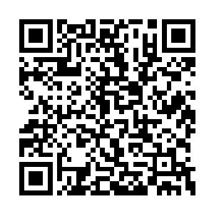 当下我忙将手里抱着的那一双断腿朝后面一甩道二维码生成