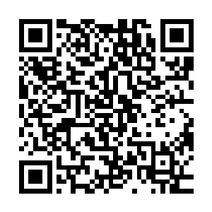 当下整个人身上也是散发出一股冲天的战意下一刻直接怒吼一声二维码生成