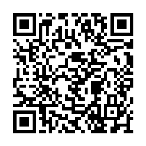 当下曲少年就拍着自己扁下去的肚子嗷呜的叫着二维码生成