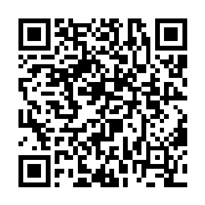 当下狂暴的雷罚之力也是朝着龙傲天的元神之上涌去二维码生成