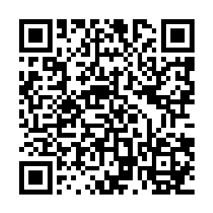 当世也只有这么一条而已……外表看起来就跟一把刀似的二维码生成