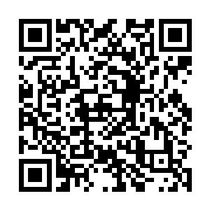 当两个人的身体被那一剑轰出了莲海掉落在地上的时候二维码生成