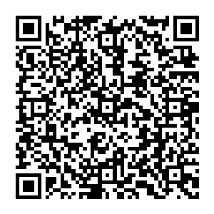 当两个小家伙想互敲着的时候贝海才发现两个小人儿今天只所以不挠改敲是因为两人的手上都拿着个小东西呢二维码生成