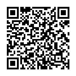 当两人之间的战斗在厉倾城那张大得有些夸张的办公桌上停歇时二维码生成