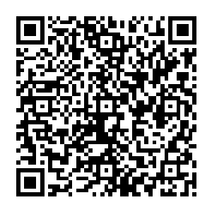 当两条小鲭鱼一到了盆子里的时候来回乱蹿了几下立刻就开始大口的吞下了最近的一个二维码生成