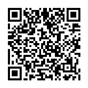 当中显然有人在西星海撞见过到处乱窜的云飞扬二维码生成