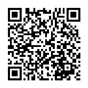 当举荐他加入火鸟堂的那位大哥拍着他的肩膀说道嘉华君二维码生成