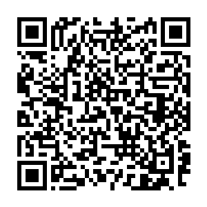 当九阶骷髅君王手中的骨剑和赵家老祖手中的长剑撞击在一起的时候二维码生成