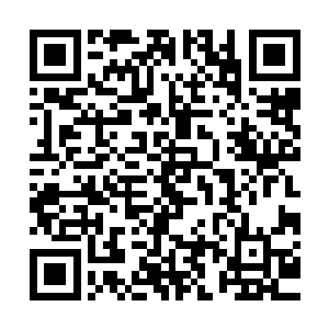 当了一路瞎子聋子的其他选手也迫不及待的探出了神识迅速查看二维码生成