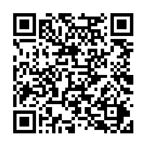 当了一辈子稳当官二代的那个死盲流子背地里联系二维码生成