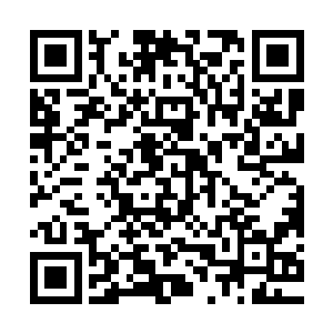 当二百多名黑虎帮和独狼帮帮会成员全部汇集到赵虎的身前之时二维码生成